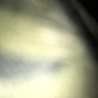 Lisa J