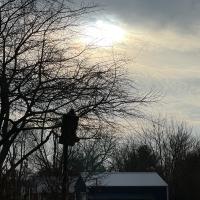 Angel Janes