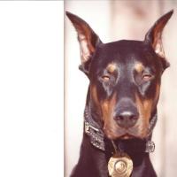 THOMAS BUTLER