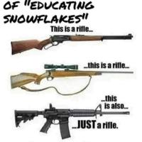 Donna Redsicker