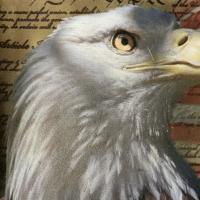 Annette Baker
