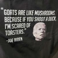 Guido Martinelli IV