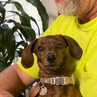 Curtis Stokes