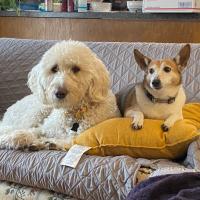 Elena Bayon