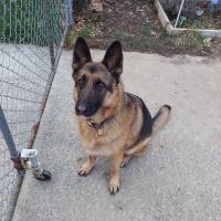 Hoi Ling Cheung