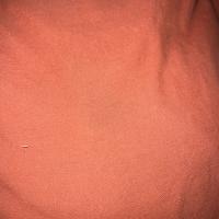 Barbara Hodges
