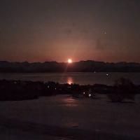 Scott Turkington