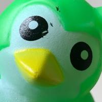 Jeanine Dietz