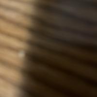 Josh Gaslin