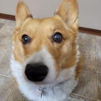 SandyJohnson