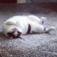 Christine Holmes