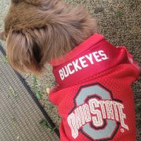 Laura Ford