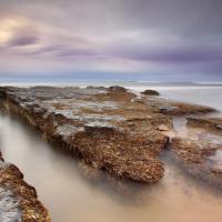 Frank Parker