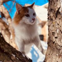 Kelly Patton