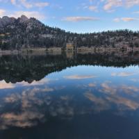 Michaeline Haas