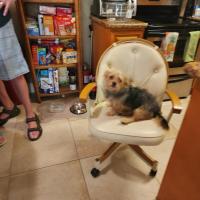 Deborah Alton