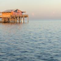 Nancy Riley