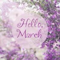 Dianne Forrest