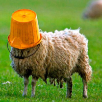 Jotham