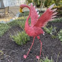 AC