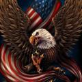 Nathan Patriot