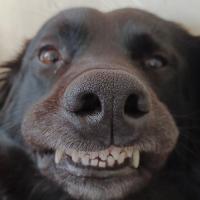 Angel Mccoy