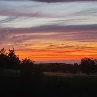 Arden Fontanilla