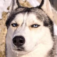 Jenny Mac