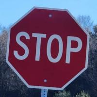 Diane Steckel