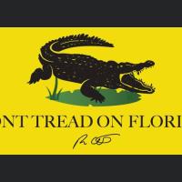 Valerie Allen