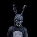 Frank Rabbit