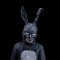 Frank Rabbit