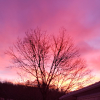 Christina Fitch