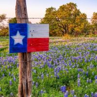 Patty Thompson
