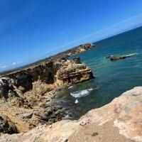 Gen Montz