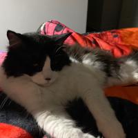 Lois Foster