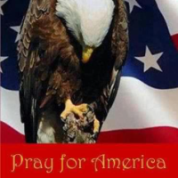 Cosette Jurkovic