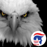 Paul Murphy - ADMIN