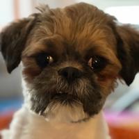 Linda Varney