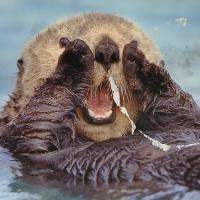 Paul Duran
