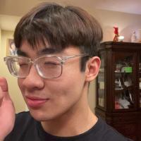 Viet Vo